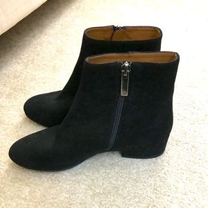 Aquatalia black suede ankle booties